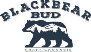 BLACK BEAR BUD 29