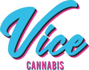 VICE-2